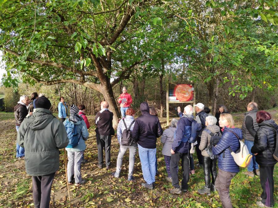 img_20241124_095633.jpg img_20241124_095633.jpg