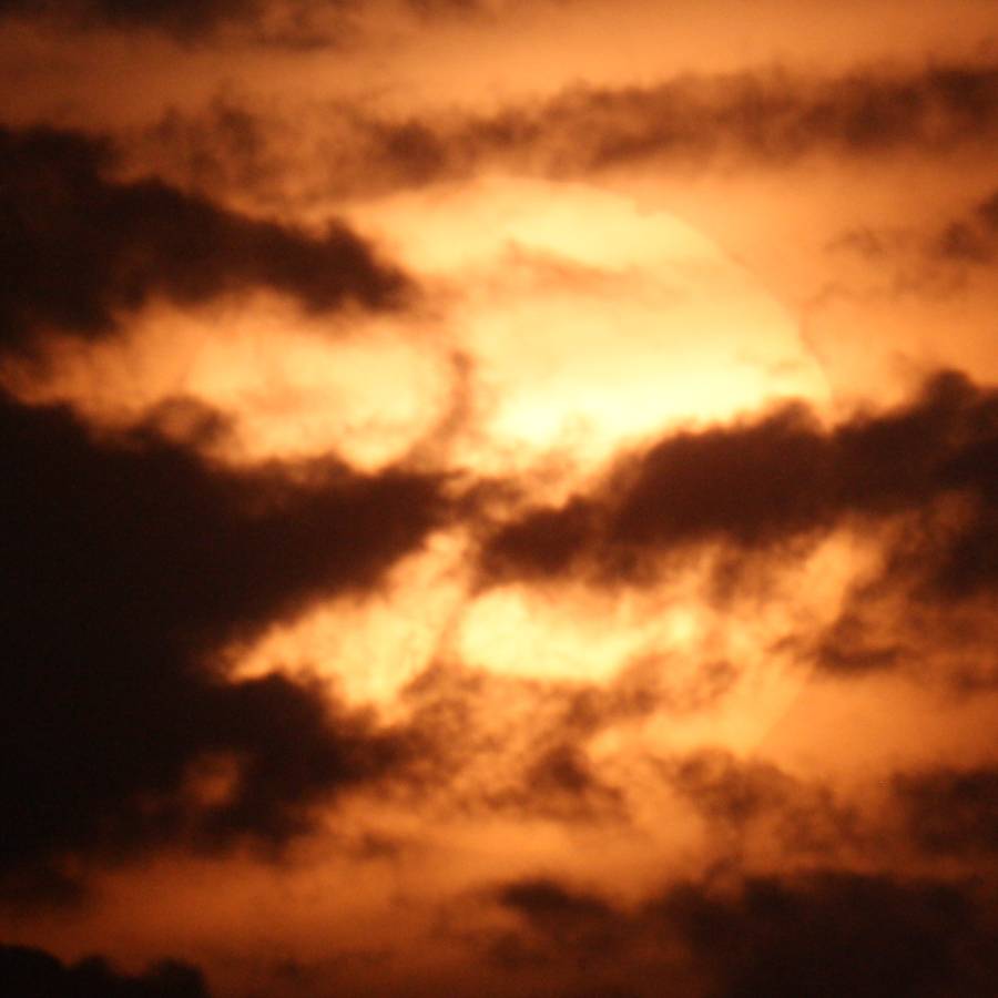 venus0.jpg venus0.jpg