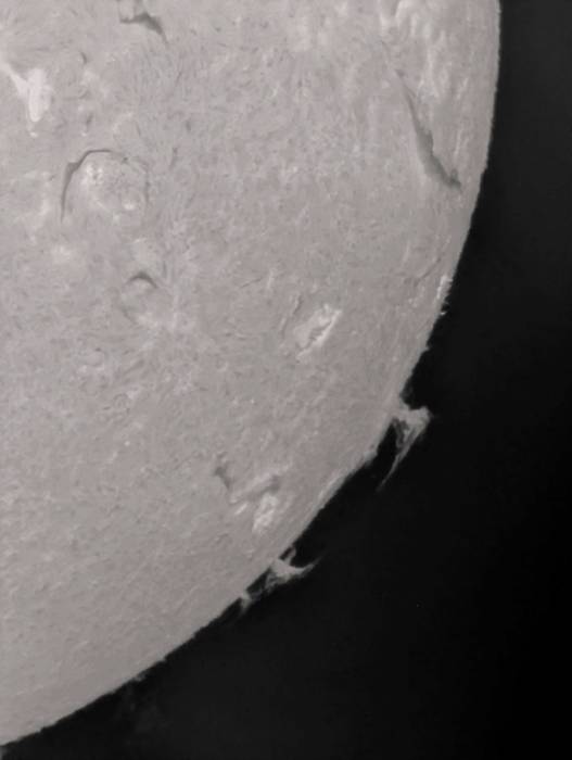 492048657_1219611006189975_5844068015080897987_n.jpg 492048657_1219611006189975_5844068015080897987_n.jpg