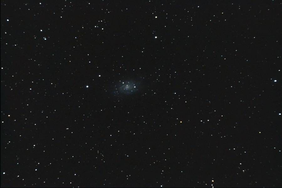 2017-04-22_michel_ngc2403.jpg