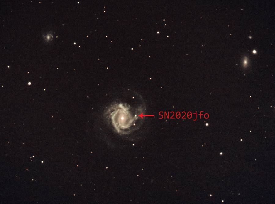 cedric_m61_supernova-sn2020jfo_20-05-2020.jpg
