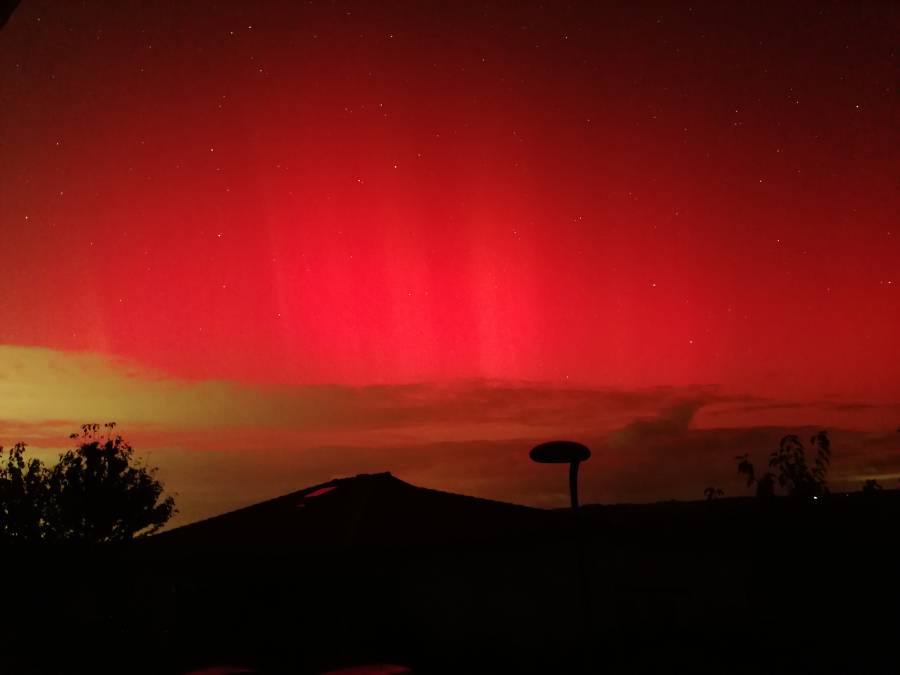 img_20241011_012638.jpg img_20241011_012638.jpg