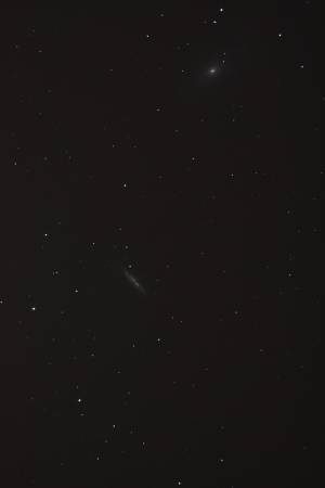 M81-82