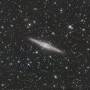 ngc891-387x60s-20231118.jpg