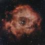 2025-03-04_rosette_low-light.jpg