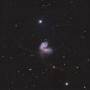 ngc4038-ngc4039_latge-cedric-aurin_14-04-2024.jpg