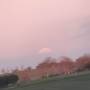 img_20241215_171250.jpg