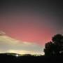 dsc_6195c.jpg