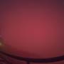 20241011_2754.jpg
