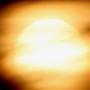 img_0229_contraste_1000p.jpg