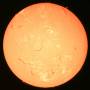 2025-04-29-1036_4-u-l-sun_cro_100r_32t_119reg_.jpg