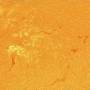 sun_2026-04-05_c.latge_4.jpg