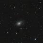 ngc772_1novembre2024_410x60s.jpg
