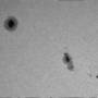 2024-11-02-1051_2-u-l-sun_lapl2_ap5664_cedric_latge_2.jpg