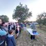 img-20240601-wa0004.jpg